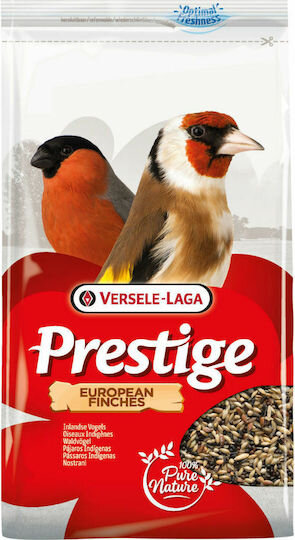 Einheimische Vögel (Stieglitz,Dompfaff,Zeisig)